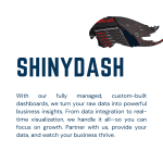 ShinyDash