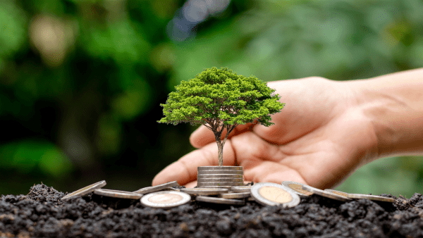 Green and Inovation funding for SMEs