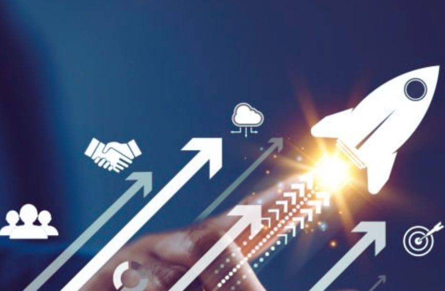 Internationalisation in touch times with NorthStar Consulting
