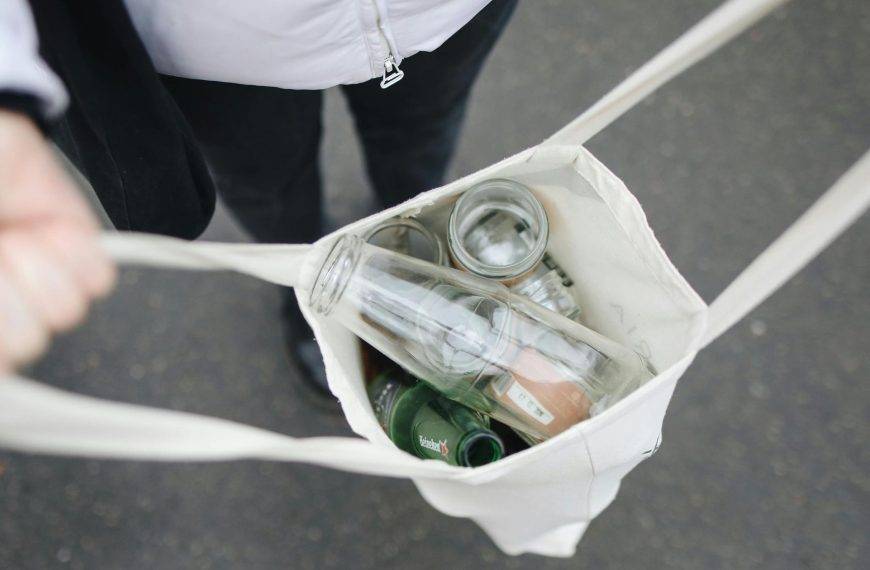 Circular Economy & ESG: Trends for Small Companies