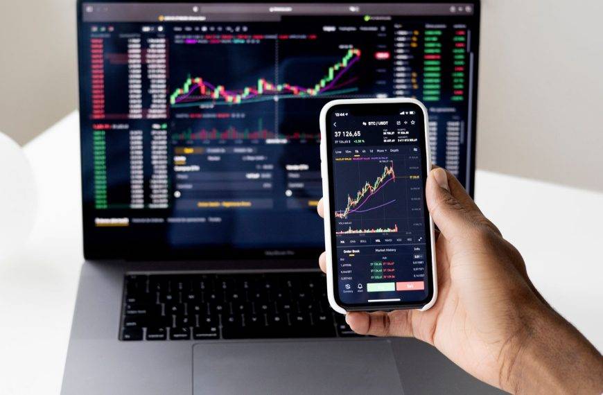 Investment SMEs: what is the future?