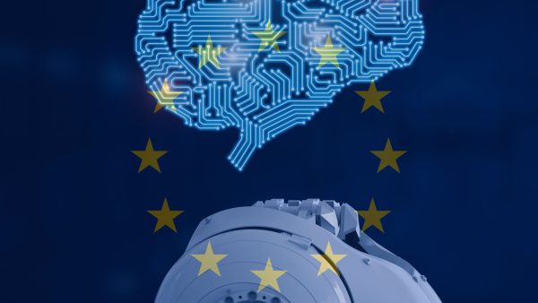 EU Law- NorthStar Consulting Analysis
