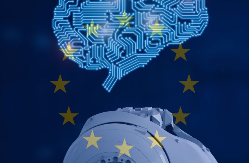 EU Law- NorthStar Consulting Analysis