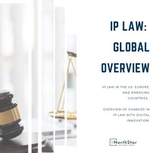 Ip Law Global Overview REport Cover NorthStar Consulting